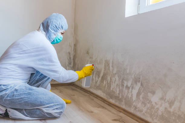 Licensed Mold Removal service in Linden, VA - WQB Mold Removal